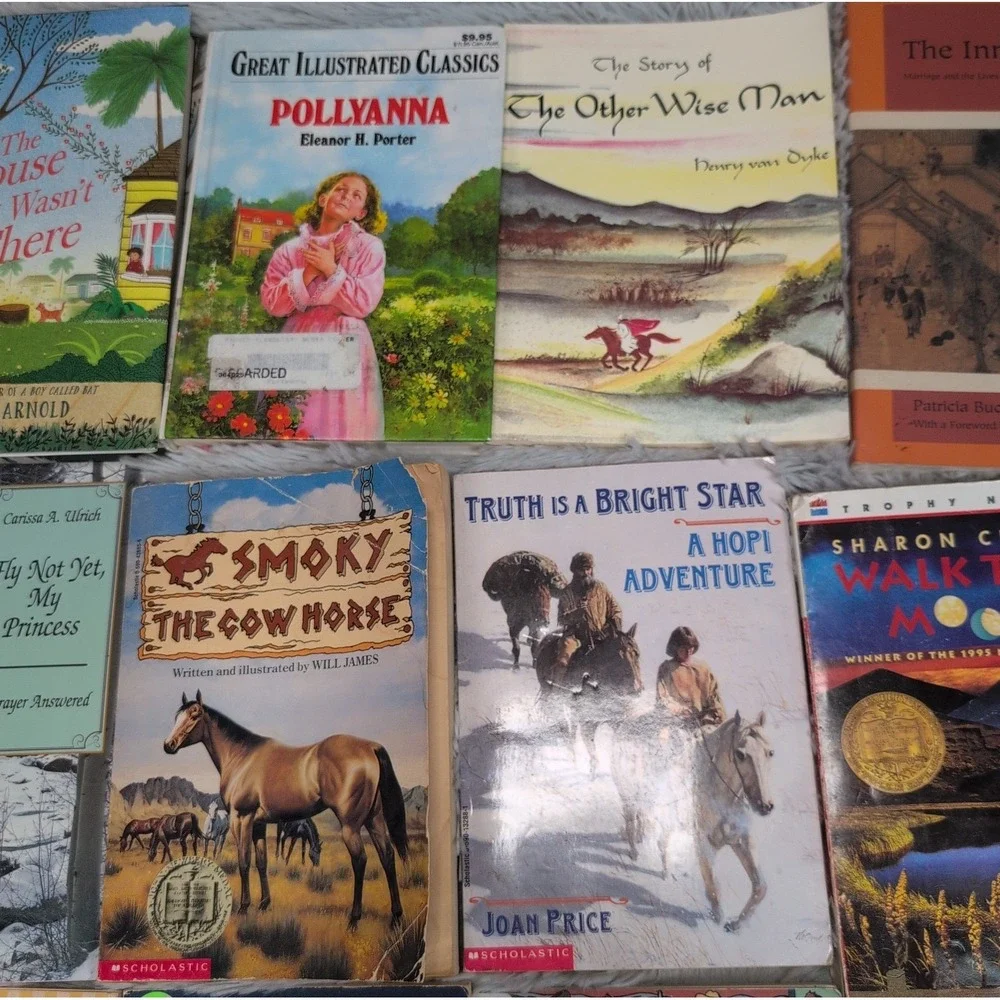 Lot of 41 Books Homeschool Young Adults YA PRE-Teen Youth Children Mix